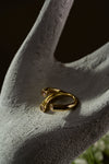 Parallel Ring view 1