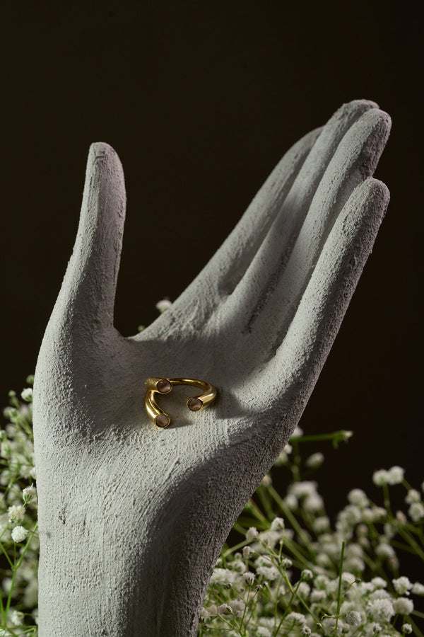 Parallel Ring alternate view