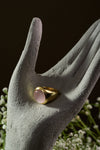 Postulate Ring view 2